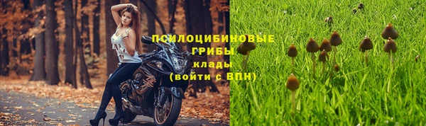 марихуана Новозыбков